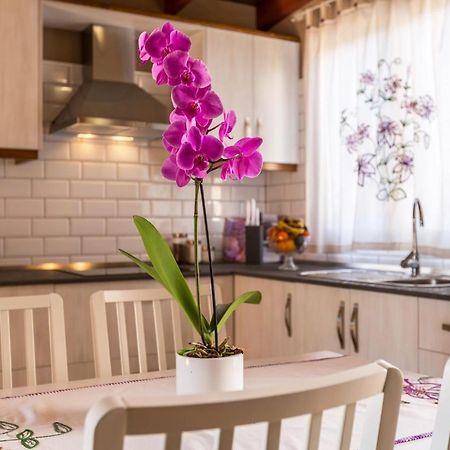 Casa Quintana - Apartamento Carla Tijarafe Bagian luar foto